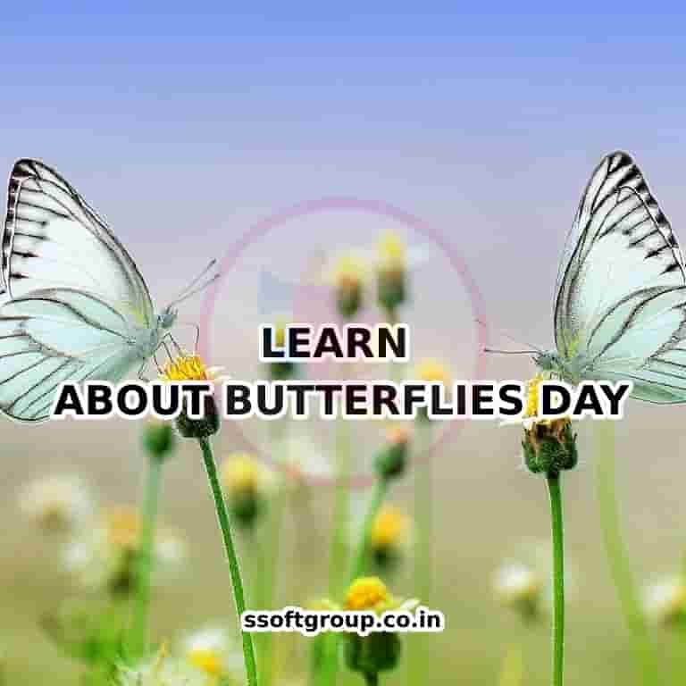 Learn About Butterflies Day