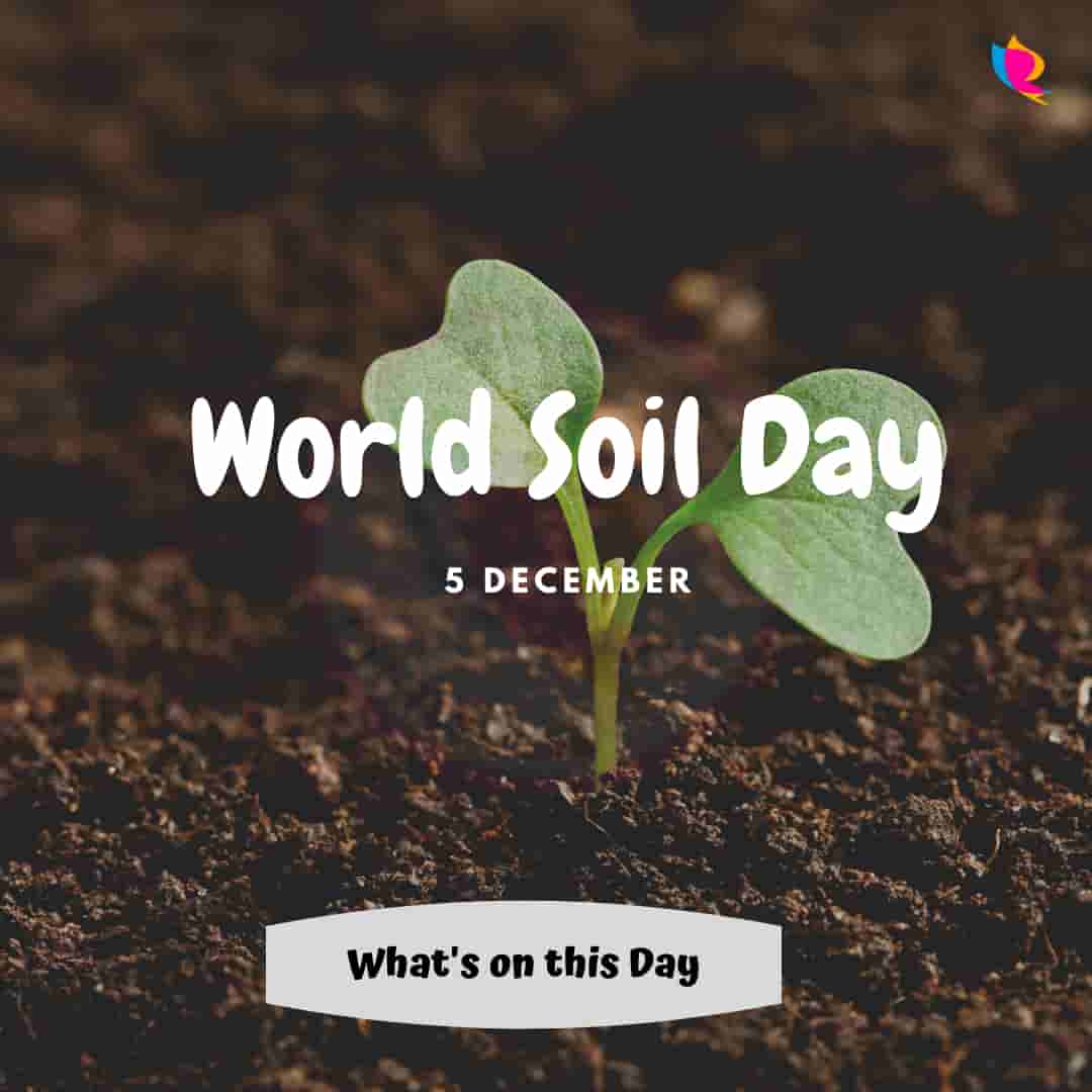 5 World Soil Day