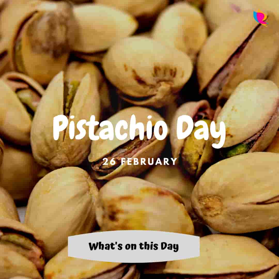 Pistachios-Day-26-Feb