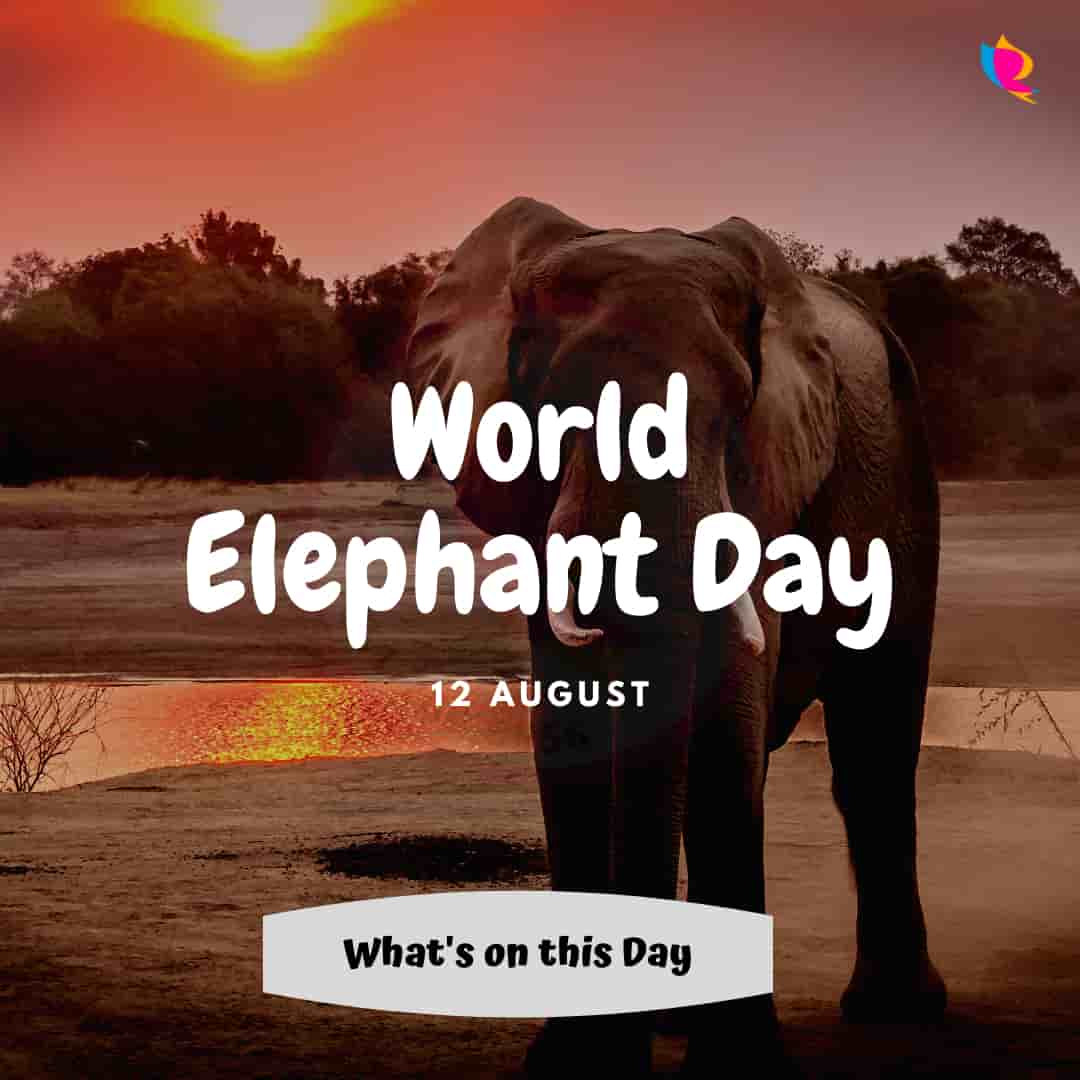 12_august_world_elephant_day