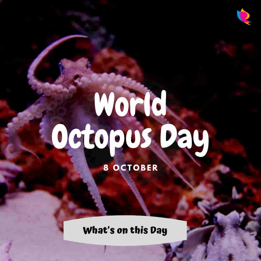 world octopus day