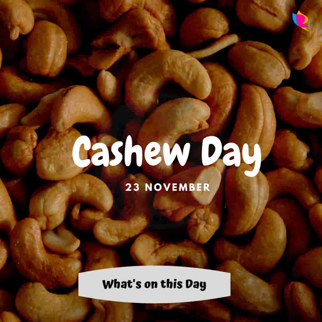 23. cashew_day
