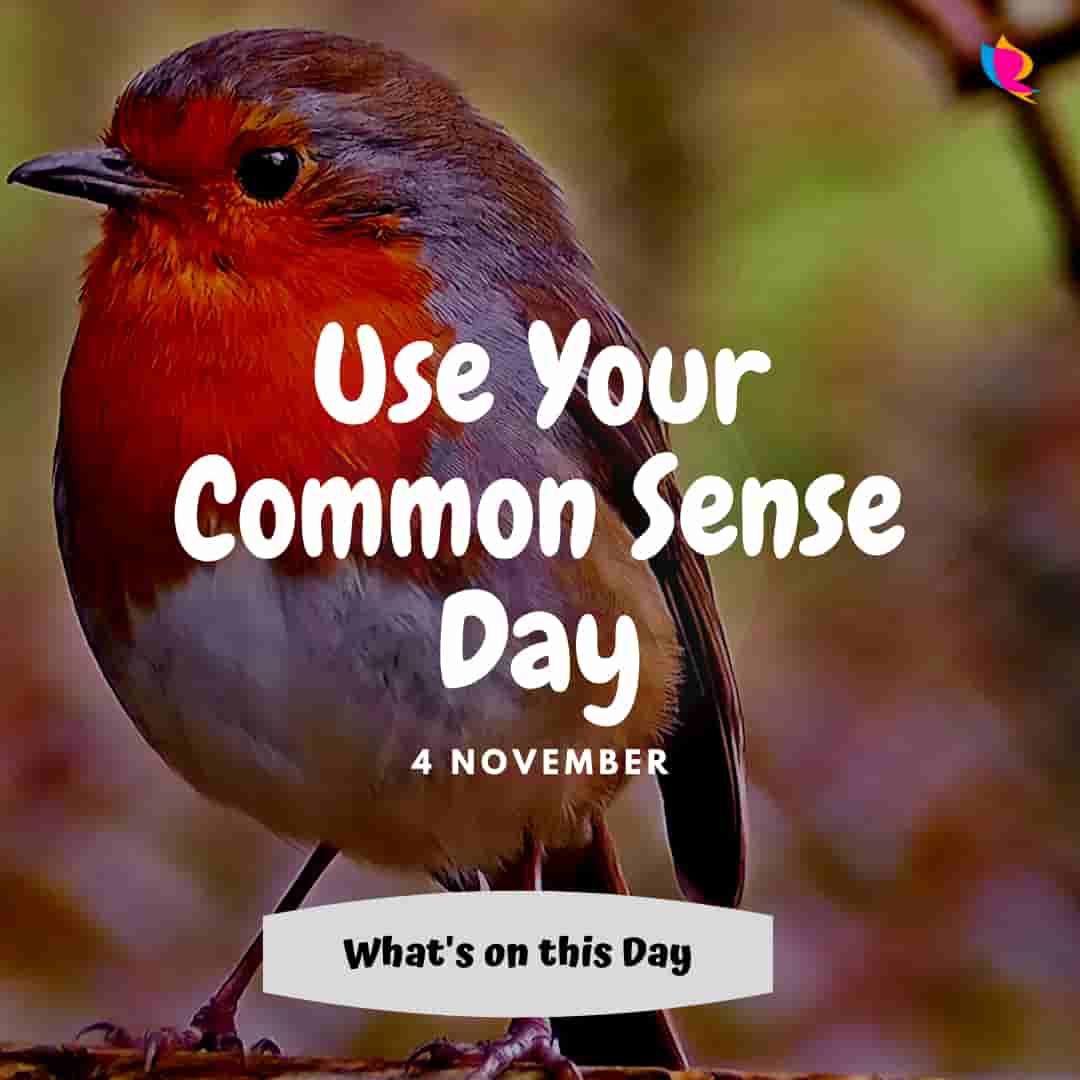 use-your-common-sense-day