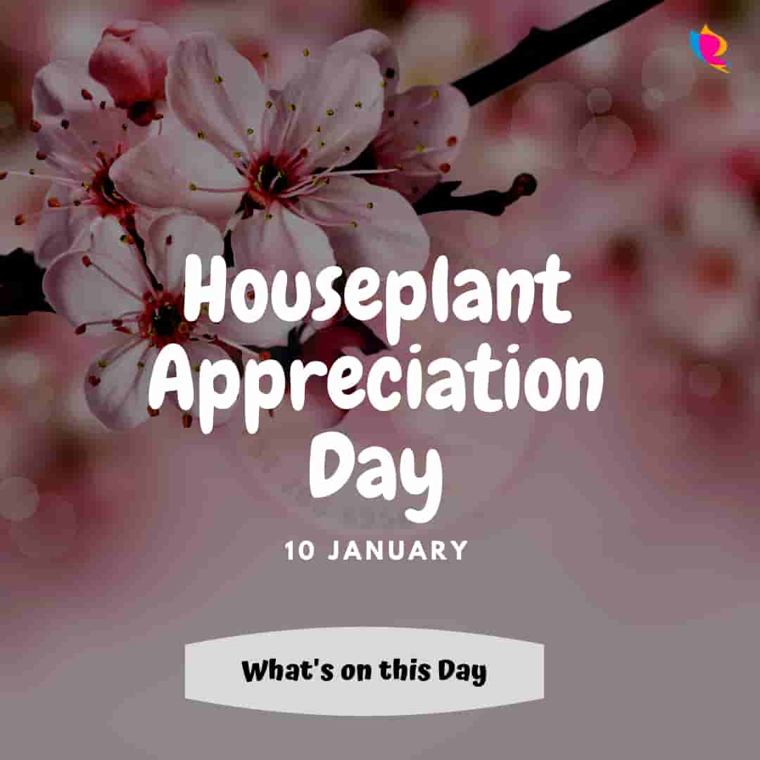 houseplant appreciation day